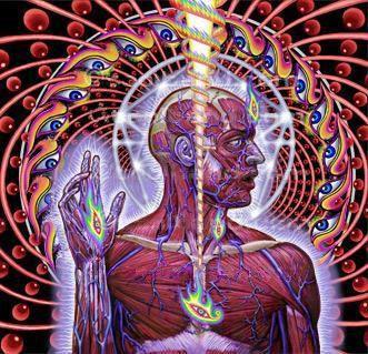 Lateralus Art